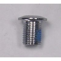 Screw for Rear Derailleur Hanger 077 Steel