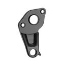 Rear Derailleur Hanger 843