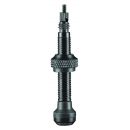 Schwalbe Tubeless Ventil-Set, 40mm, 2 Stück