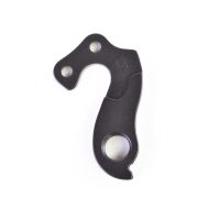 Rear Derailleur Hanger 001