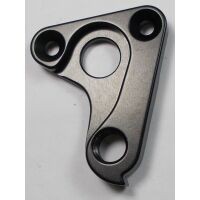Rear Derailleur Hanger 1256